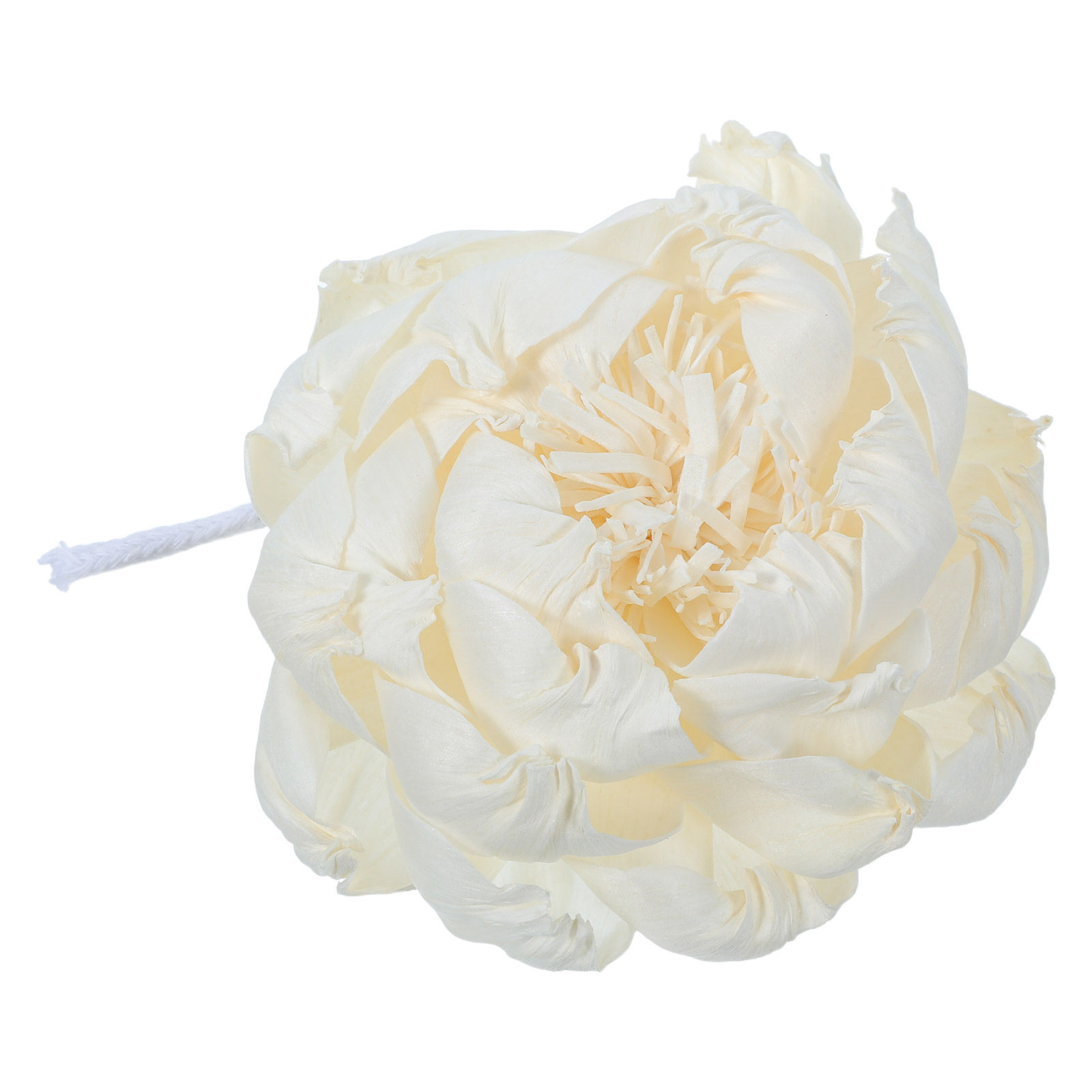 Şakayık Başlı Koku Difüzörü 12 - Home Fragrance Us incelemesi ve fiyatı