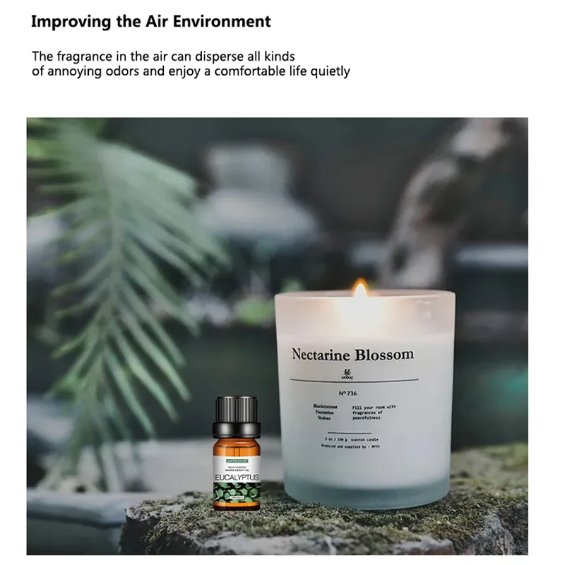 Suda Çözünen Mum Kokusu Yağlar - Fragrance Oil Set incelemesi ve fiyatı